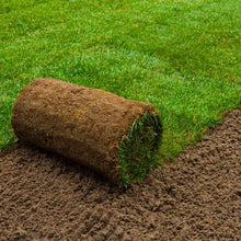 Load image into Gallery viewer, Fresh Northumberland Turf
